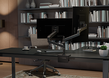 Ergotron Monitor Arm