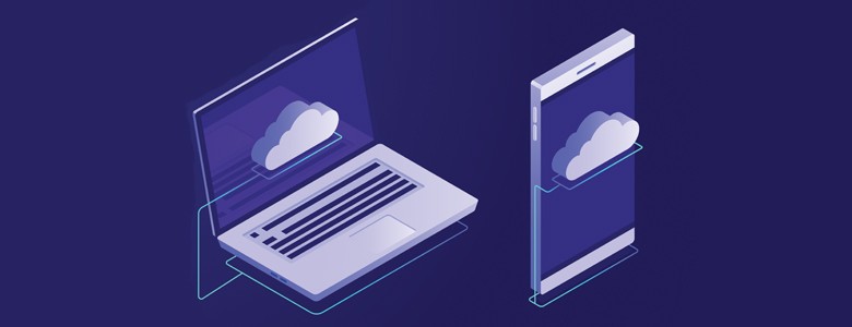 Insight and Adobe