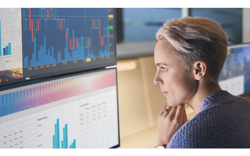 Dell software driven innovation Dell software driven innovation - woman looking at monitors